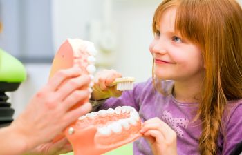 Young Child With Tooth Model